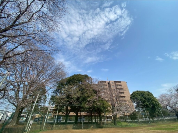 中古マンション 船橋市 習志野台４丁目 3ＬＤＫ 3,290万円