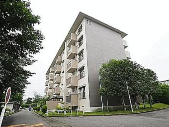 中古マンション 千葉市美浜区 稲毛海岸１丁目 3ＤＫ