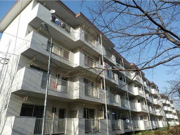中古マンション 千葉市美浜区 稲毛海岸１丁目 3ＤＫ