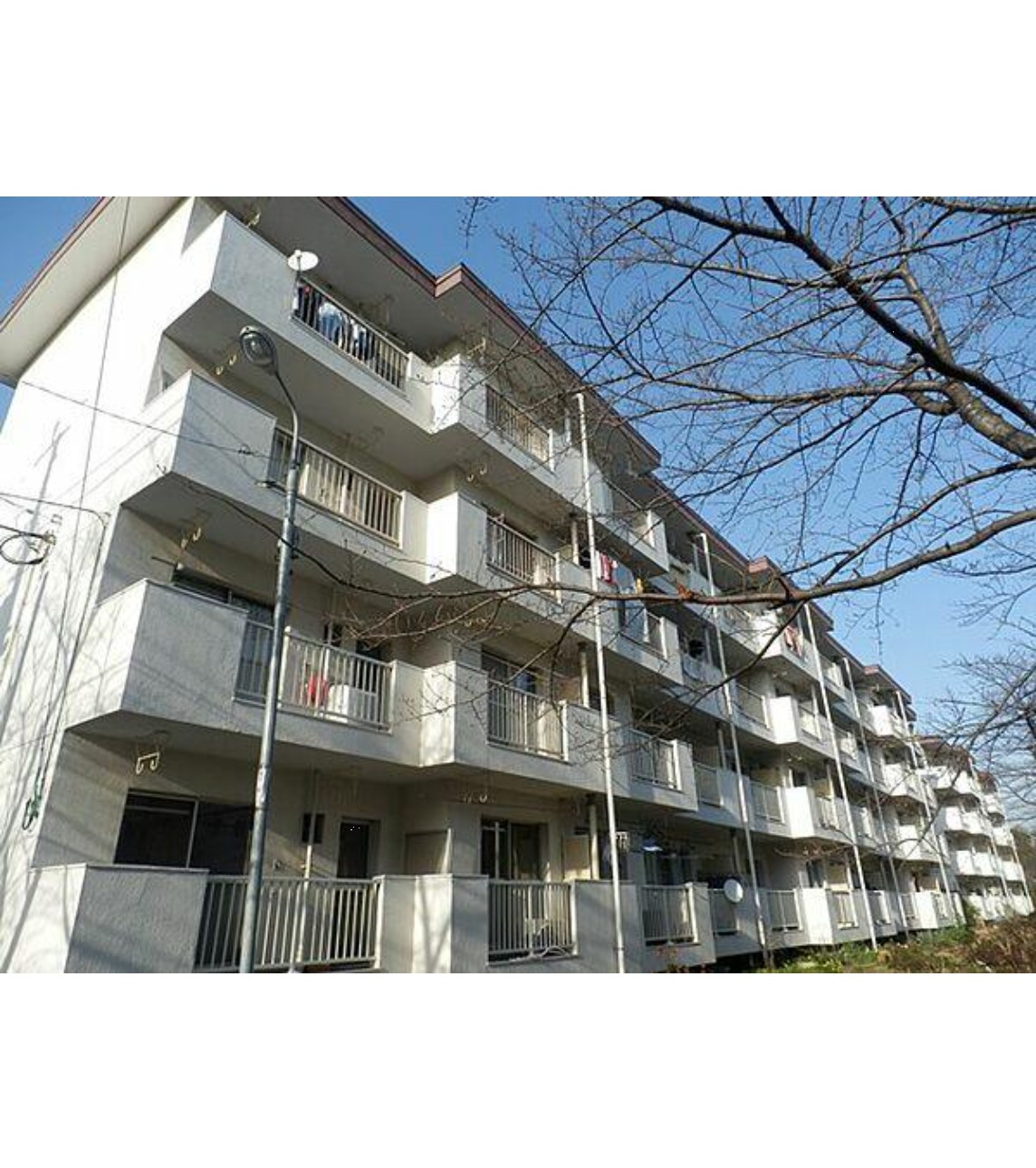 100140434021-3 中古マンション 千葉市美浜区 稲毛海岸1丁目 3DK