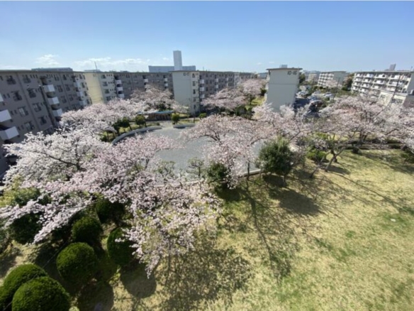 中古マンション 千葉市美浜区 幸町２丁目 2ＬＤＫ
