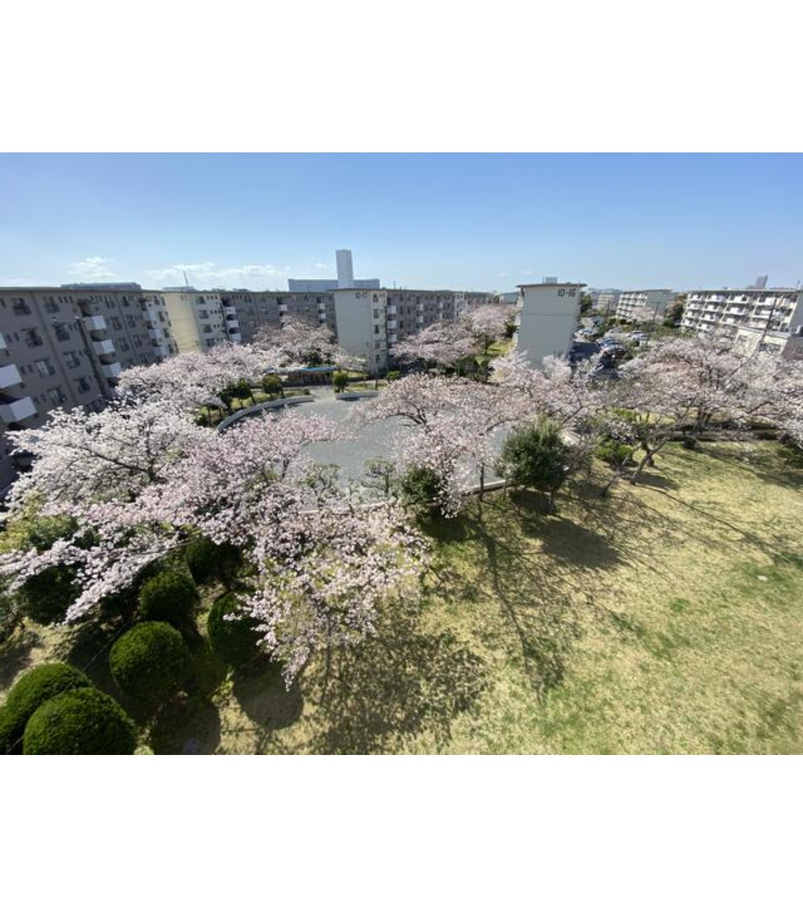 100140499953-5 中古マンション 千葉市美浜区 幸町2丁目 2LDK