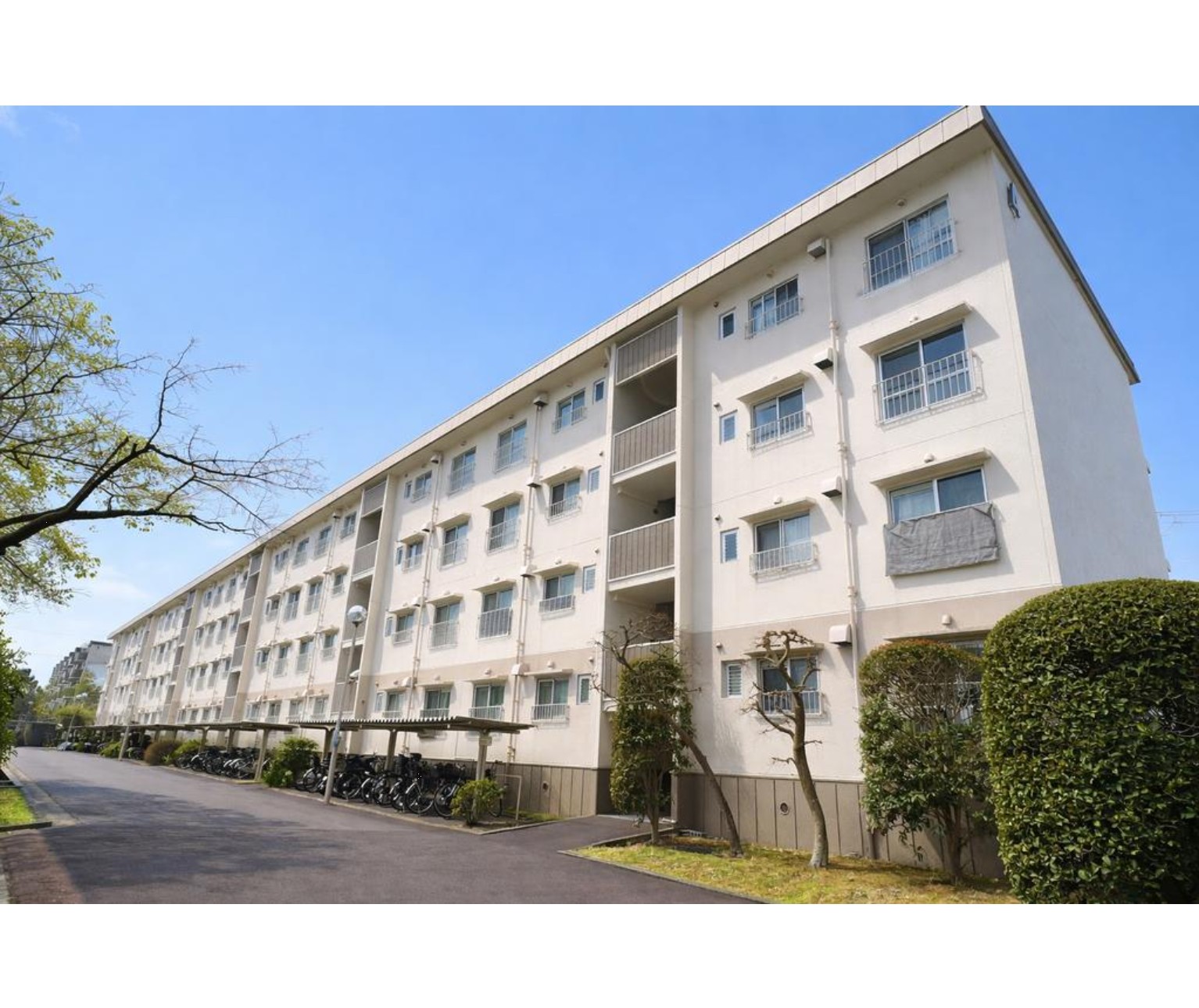 中古マンション 千葉市美浜区 磯辺５丁目 3ＬＤＫ