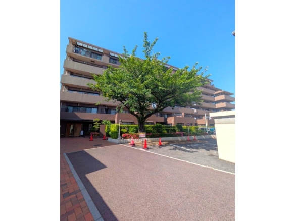 中古マンション 市川市 相之川１丁目 3ＬＤＫ