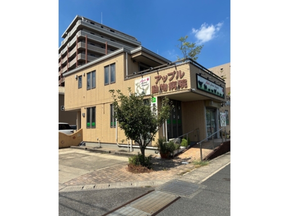 中古戸建 市川市 南大野１丁目 2ＬＤＫ