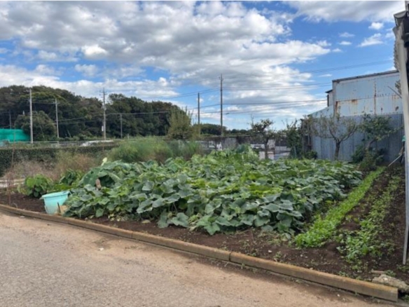 売地 市川市 大野町２丁目