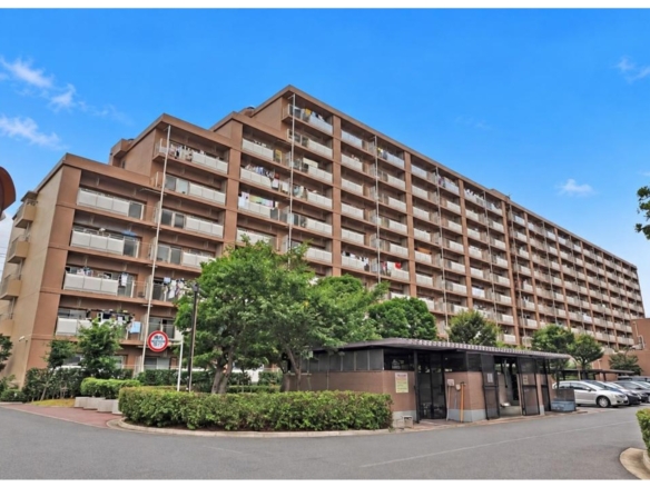 中古マンション 市川市 市川南３丁目 3ＬＤＫ