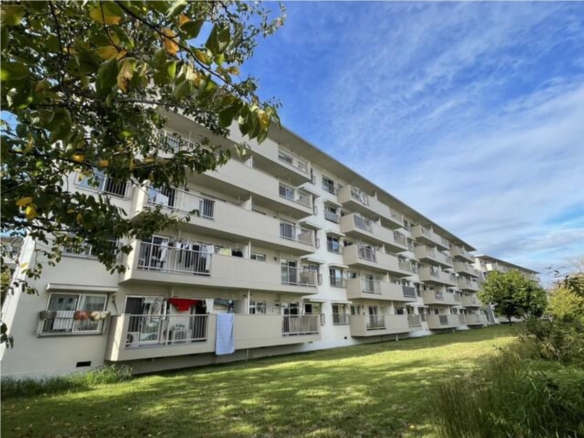 中古マンション 千葉市美浜区 稲毛海岸３丁目 2ＬＤＫ