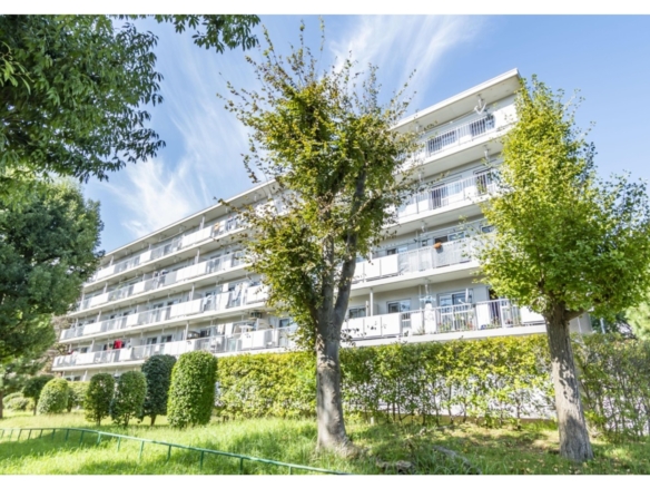 中古マンション 八千代市 村上村上団地 3Ｋ